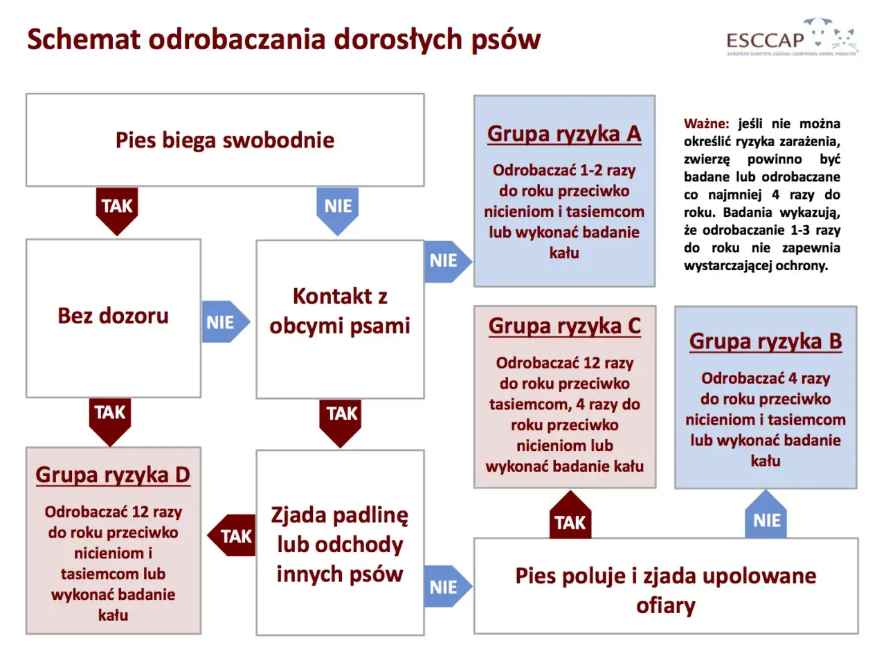 Schemat odrobaczania psów: od 1 do 12 razy rocznie, zależnie od ryzyka. Dowiedz się, co ile odrobaczać psa.