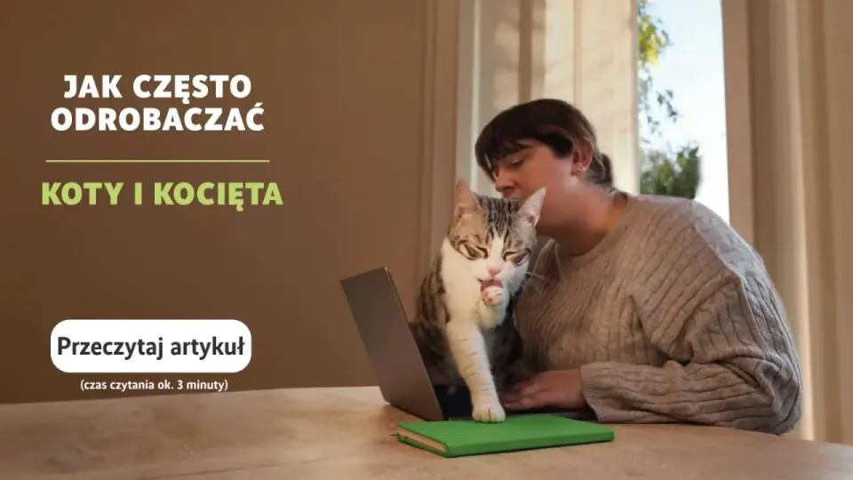 Jak często odrobaczać kota? Plan dla kociąt i dorosłych